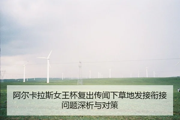 阿尔卡拉斯女王杯复出传闻下草地发接衔接问题深析与对策