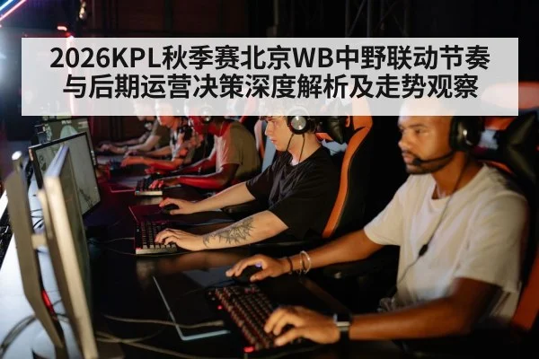 2026KPL秋季赛北京WB中野联动节奏与后期运营决策深度解析及走势观察